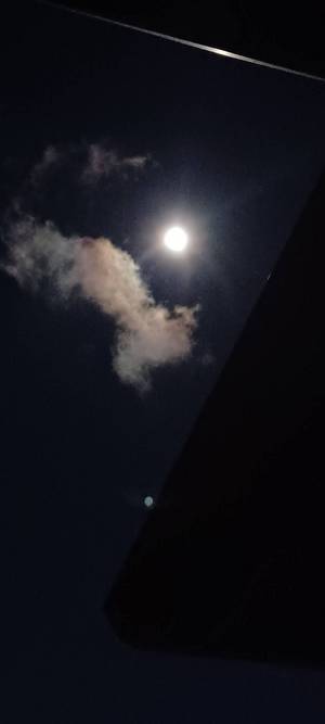 まいか
