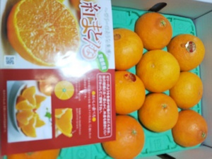 まいか
