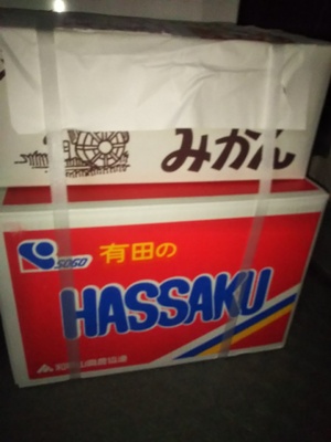 まいか