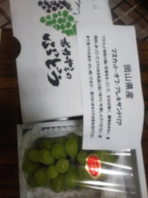 まいか