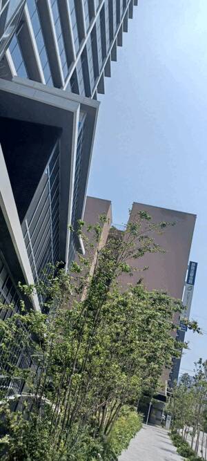 まいか