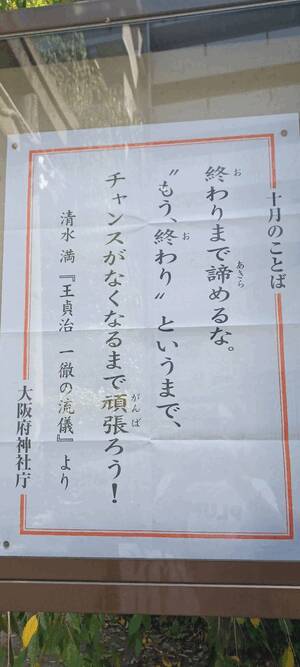 まいか