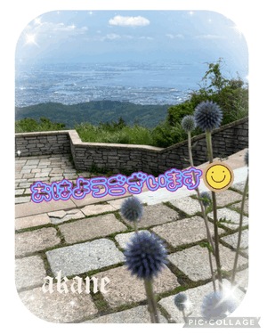 あかね