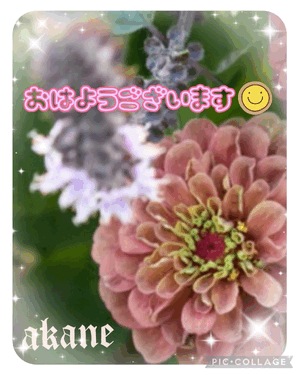 あかね