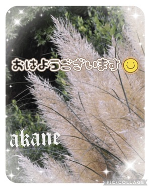 あかね