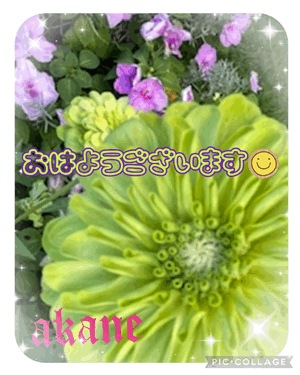 あかね