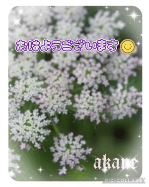 あかね
