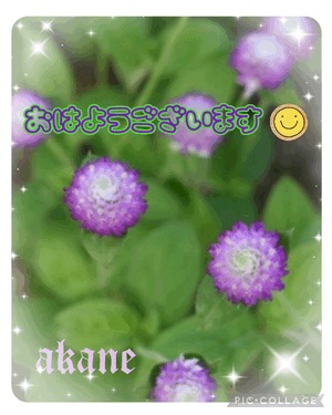 あかね