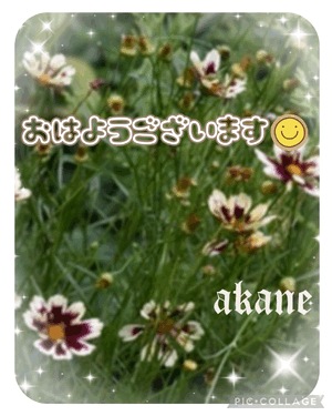 あかね