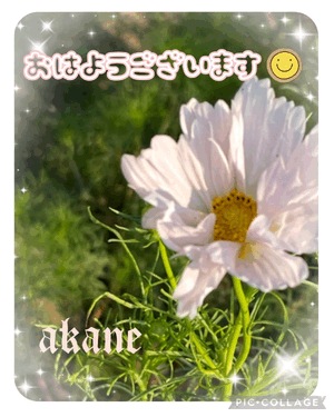 あかね