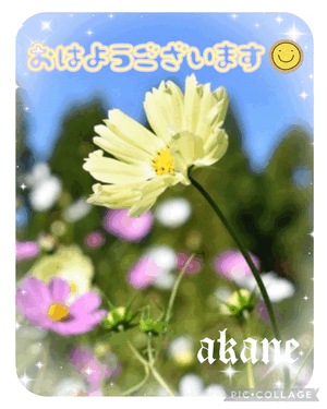 あかね