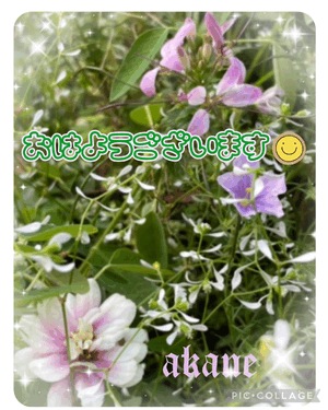 あかね