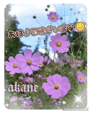 あかね