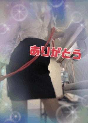翔