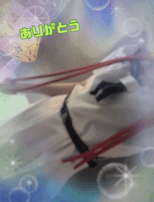 翔
