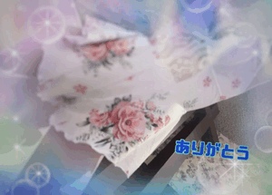 翔