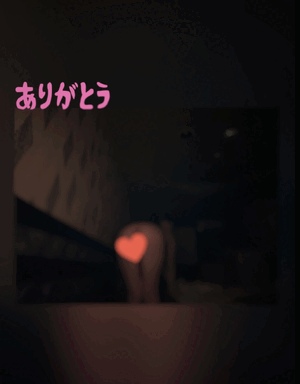 翔