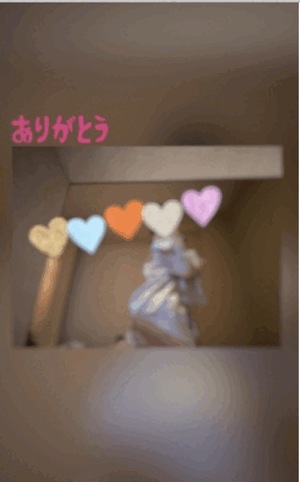 翔