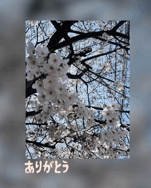 翔