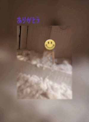 翔