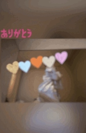 翔