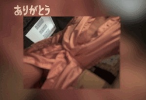 翔