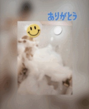 翔