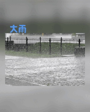 翔