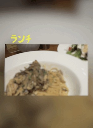 翔