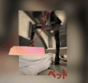 翔