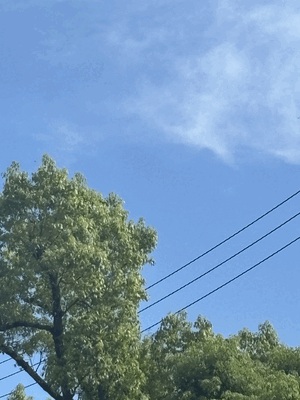 あや