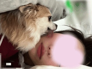まみ