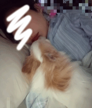 まみ