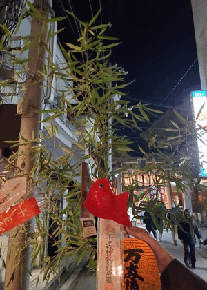 ふうか