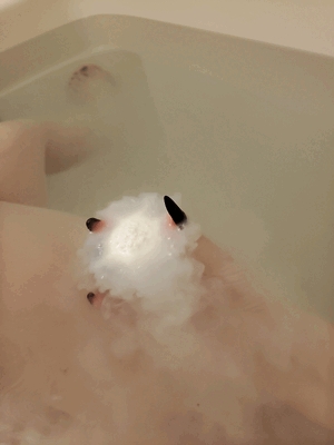 ふうか