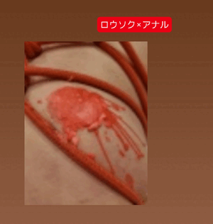 ふうか