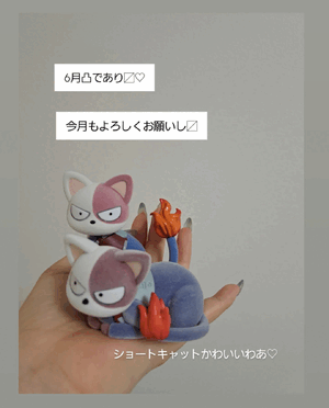 ふうか