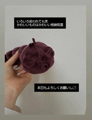 ふうか