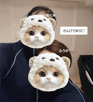 ふうか