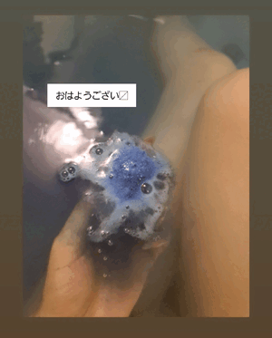 ふうか