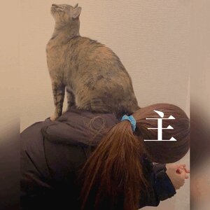 セナ