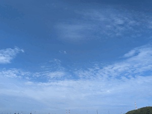 あんず