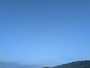 あんず
