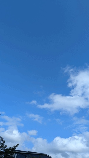 あんず