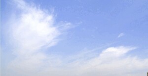 はづき