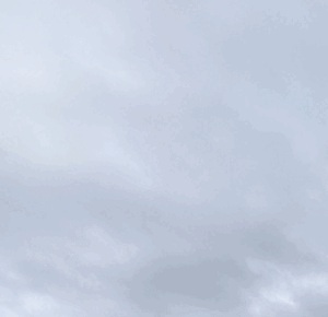 はづき