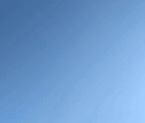 はづき