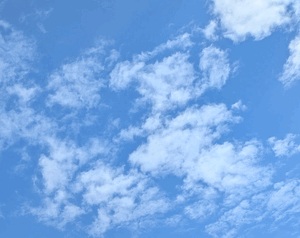 はづき