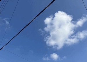 すみれ