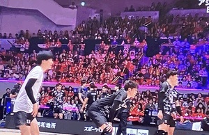 すみれ
